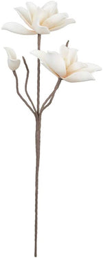 Kalalou CSL2340 Botanica #2340