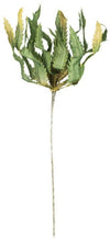 Kalalou CLX2975 Botanica #975