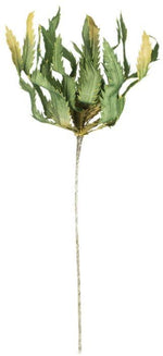 Kalalou CLX2975 Botanica #975