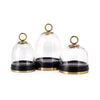 IMAX Worldwide Home Tribute Wood and Glass Cloche - Set of 3