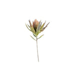 Kalalou CLX2720 Botanica #920