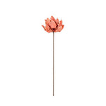 Kalalou CLX3142 Botanica #3142