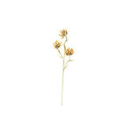Kalalou CSL2307 Botanica #2307