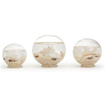 Two's Company 50591 Atlantis Set of 3 Decorative Filled Globes Shells & Starfish