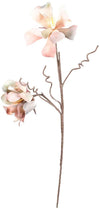 Kalalou CSL1311 Botanica #1311