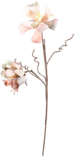 Kalalou CSL1311 Botanica #1311