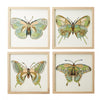 Two's Company 51961 Set of 4 Butterfly Paper Collage Wall Art
