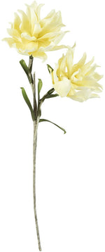 Kalalou CSL2415 Botanica #2415