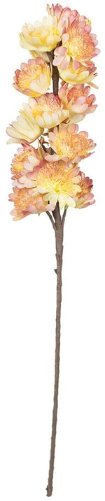 Kalalou CLX3117 Botanica #3117