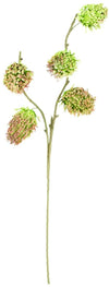 Kalalou CLX2971 Botanica #971