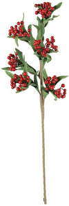 Kalalou CLX3159 Botanica #3159