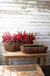 Kalalou CMH1011 Set Of Two Low Oval Pinecone Planters