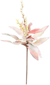 Kalalou CSL1304 Botanica #1304