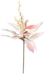Kalalou CSL1304 Botanica #1304