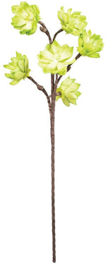 Kalalou CLX2942 Botanica #1142