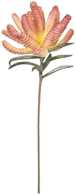 Kalalou CLX3123 Botanica #3123