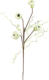 Kalalou CSL1300 Botanica #1300