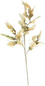 Kalalou CSL2318 Botanica # 2318