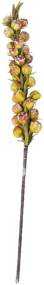 Kalalou CLX2729 Botanica # 929