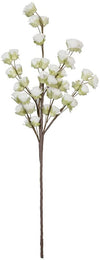 Kalalou CLX3103 Botanica #3103