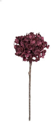 Kalalou CLX2734 Botanica # 934