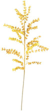Kalalou CLX2978 Botanica #978