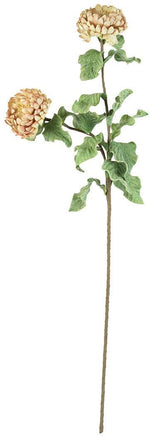Kalalou CLX3184 Botanica #3184