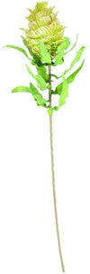 Kalalou CLX2983 Botanica #983