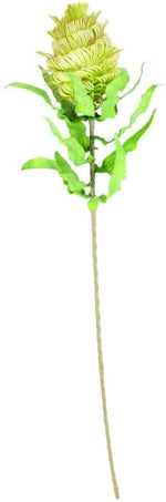 Kalalou CLX2983 Botanica #983