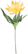 Kalalou CLX2941 Botanica #1141