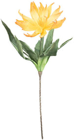 Kalalou CLX2941 Botanica #1141