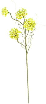 Kalalou CSL2308 Botanica #2308