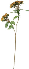 Kalalou CLX3171 Botanica #3171