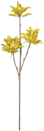 Kalalou CLX3124 Botanica #3124