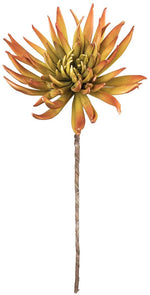 Kalalou CLX2947 Botanica #1147