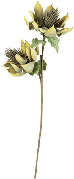Kalalou CLX3157 Botanica #3157