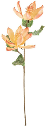 Kalalou CLX3214 Botanica #3214
