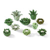 Two's Company 52513 Set of 10 Succulents Tealight Candleholders