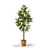 Two's Company 53001 Faux Lemon Tree in Terracotta Pot
