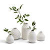 Two's Company 53364 Set of 5 Embossed Cane Webbing Modern Pattern Vases