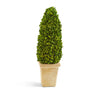 Two's Company 53464 21" Preserved Boxwood Cone Topiary in Planter