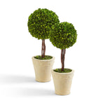 Two's Company 53465 Set of 2 Preserved Boxwood Ball Topiary in Planter