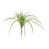 Large Faux Air Plant – Green Artificial Succulent Decor