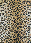 Couristan Dolce Amur Leopard 8'1" X 11'2" Rectangular Indoor/Outdoor  Transitional Rug