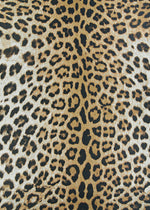 Couristan Dolce Amur Leopard 2'3" X 7'10" Runner Indoor/Outdoor  Transitional Rug
