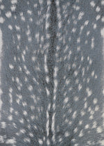 Couristan DOLCE HYENA 8'1" X 11'2" Rectangular Indoor/Outdoor  Transitional Rug