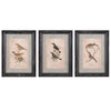 Imax Worldwide Home Woodland Bird Wall Decor - Set of 3