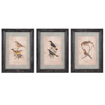 Imax Worldwide Home Woodland Bird Wall Decor - Set of 3