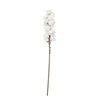 Kalalou CLX3104 Botanica #3104