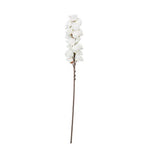 Kalalou CLX3104 Botanica #3104